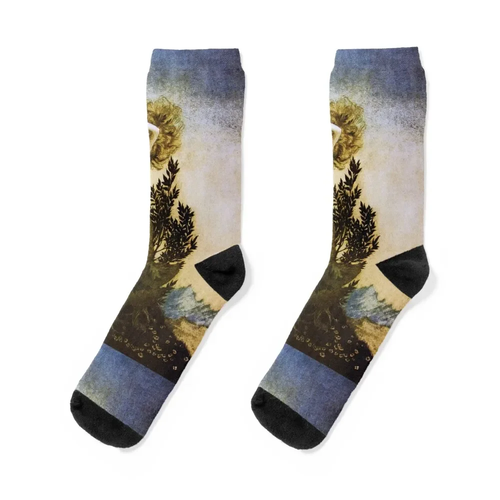 Daphne into a tree - Comus by Arthur Rackham Socks hockey funny gift Crossfit Socks Men Women's