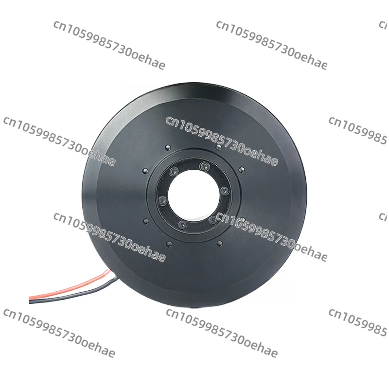 PM100 High Torque Hollow Brushless DC Motor High Performance 24V