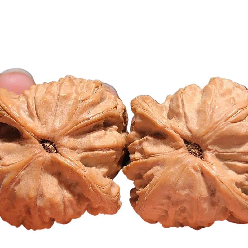 Natural Wild Official Hat Lion Head Wenwan Walnut Hand Massage Toy Collectible Exquisite Chinese Traditional Handheld Craft Perf