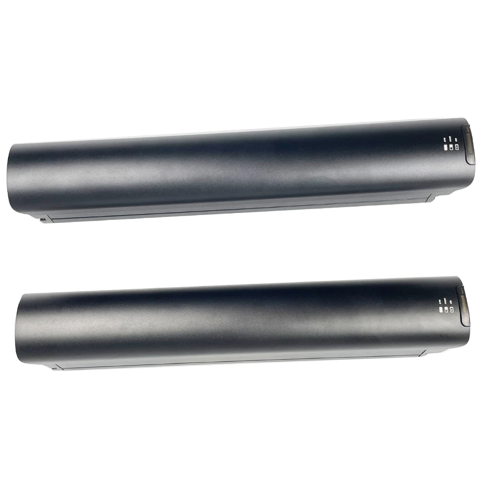 Ecobike X 300 Batte…