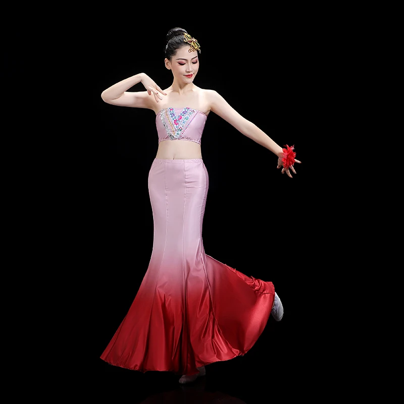 Ethnic Dai Dance Performance Costumes Practice Skirts Female Minority Peacock Dance Wear Traditional Folk Belly National Dance