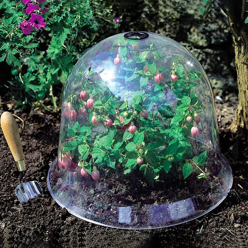 HOT SALE 10 Pcs Reusable Plastic Mini Greenhouse Garden Cloche Dome Plant Covers Frost Guard Freeze Protection With Securing Peg