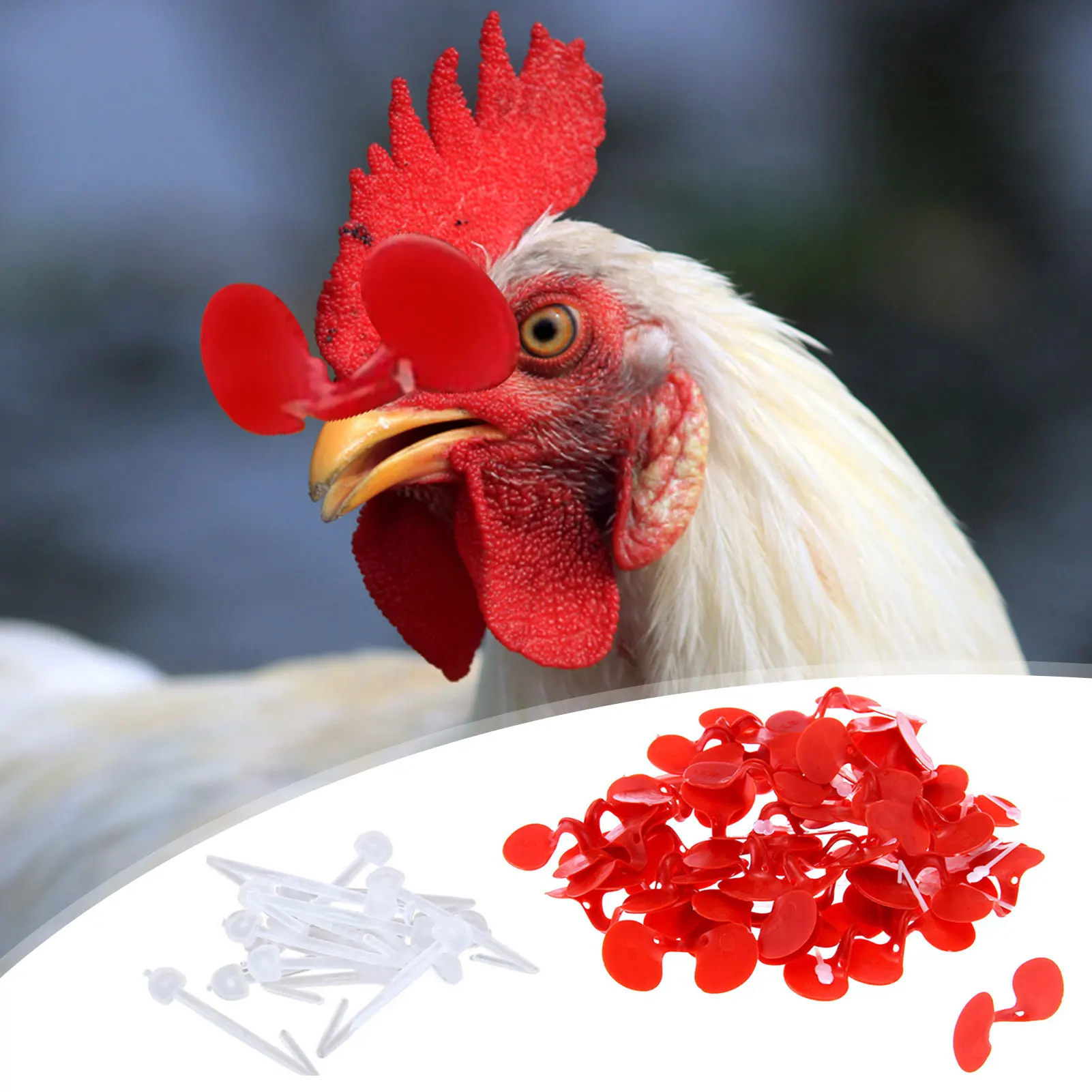 60 Pieces Pinless Chicken Anti-Pecking Small Chicken Eyes Glasses With Bolt Durable Hen Rooster Pinless Tool With Bolt 