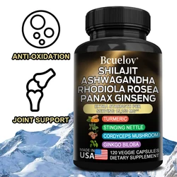 Shilajit Ginseng Ashwagandha Rhodiola Rosea , Turmeric , Ginkgo - Digestion, Brain, Immune, Joints, Antioxidants, Overall Health