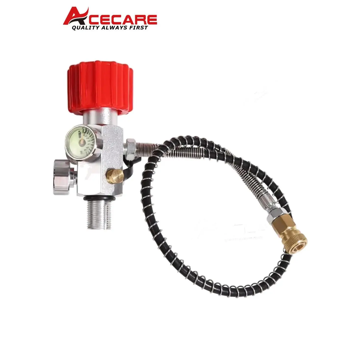 ACECARE 4500Psi 300Bar Fill Station Stainless Steel Charging Valve Dual Gauge Regulator Adapter with 24