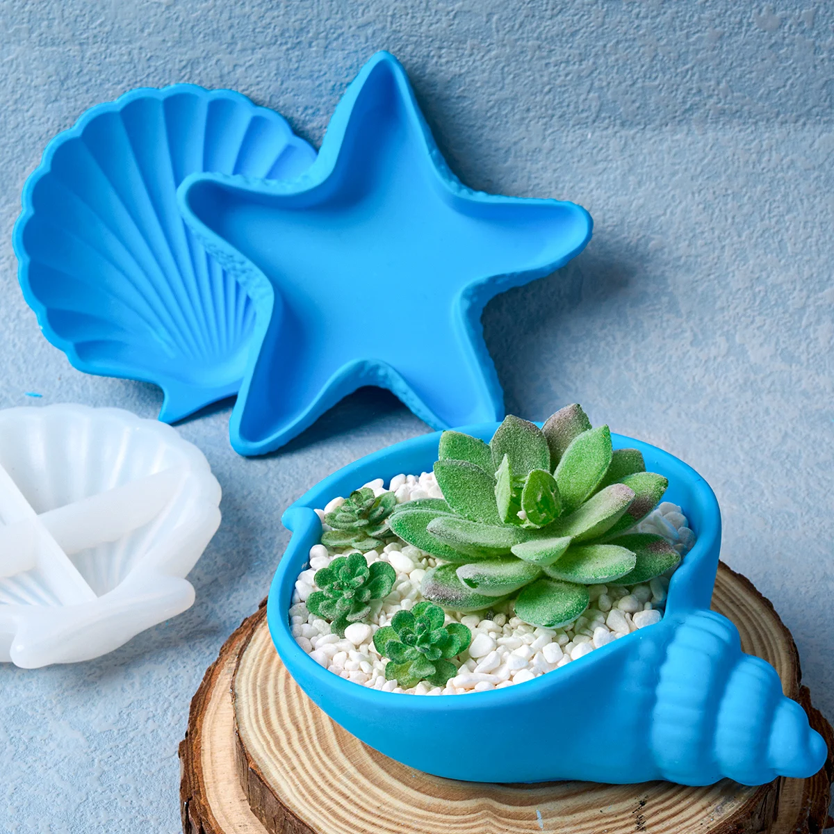 DIY Concrete Starfish Starage Tray Silicone Mold Candle Holder Plaster Molds Shell Conch Resin Flowerpot Craft Making Home Decor