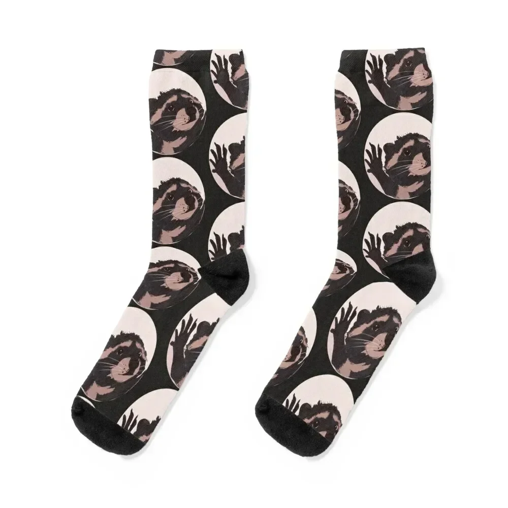 

Dancing Raccoon Pedro Meme Socks Heating sock professional running Women's Socks Men's