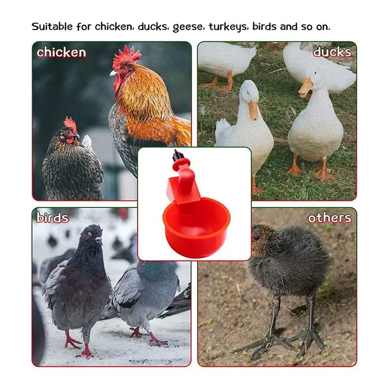 ABJS  Cup for Chicken Duck Turkey ,3/8 Inch Thread Automatic Filling,Solution for Poultry Watering