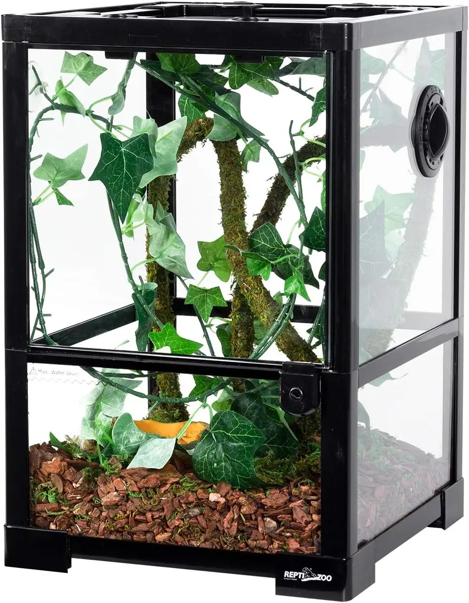 

Vertical Full Vision Glass Amphibian Habitat 10 Gallon Reptile Terrarium Deep Base Top Screen Ventilation 12x12x18