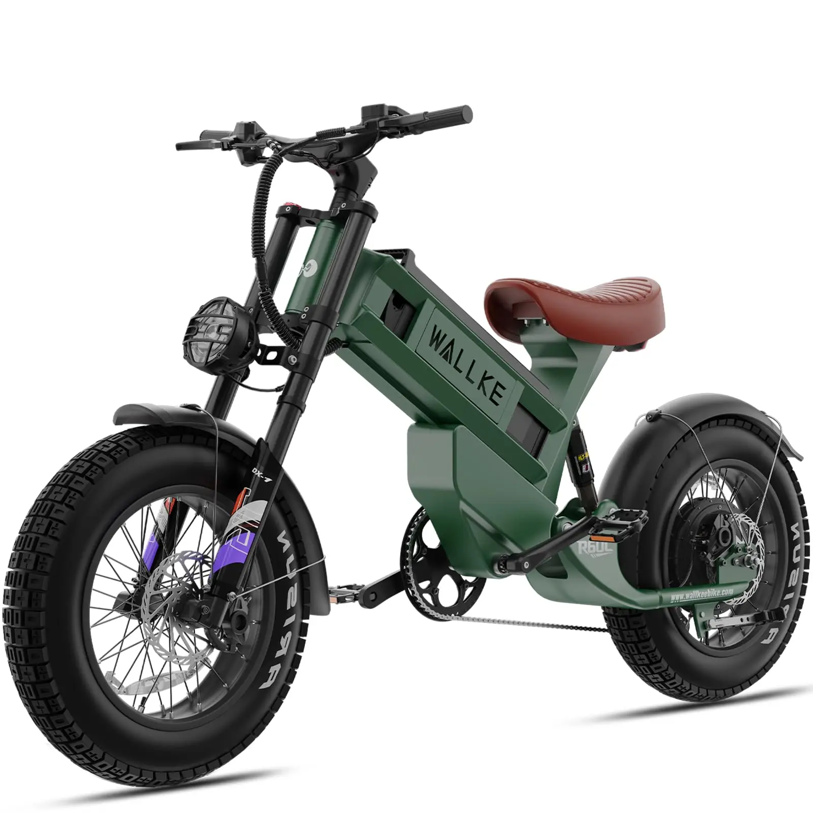 R60C 4000W Long Range Electric Bike for Adults, Fat Tire All Terrain Ebike with Full Suspension & Torque Sensor, Up to180 image 2