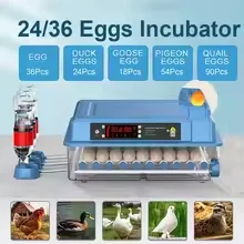 

36 Eggs Incubator Brooder Automatic Water Replenishment Bird Quail Chick Incubator Poultry Incubator Turner Farm Hatchery Tool