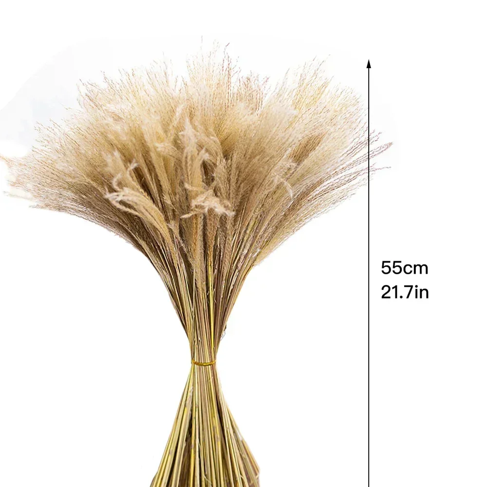 Artificial Flowers Pampas Grass Decor Tall Phragmites Plants Home Decoration 20pcs Reed Photography Prop Fake Flower view 2