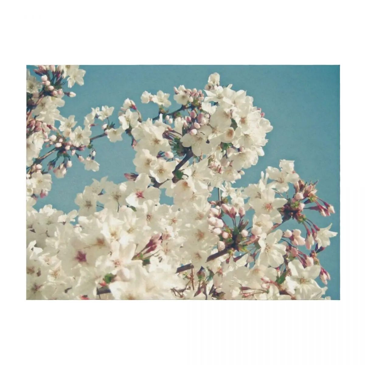 

Buds in May Throw Blanket Giant Sofa blankets ands Decorative Sofas Shaggy Blankets