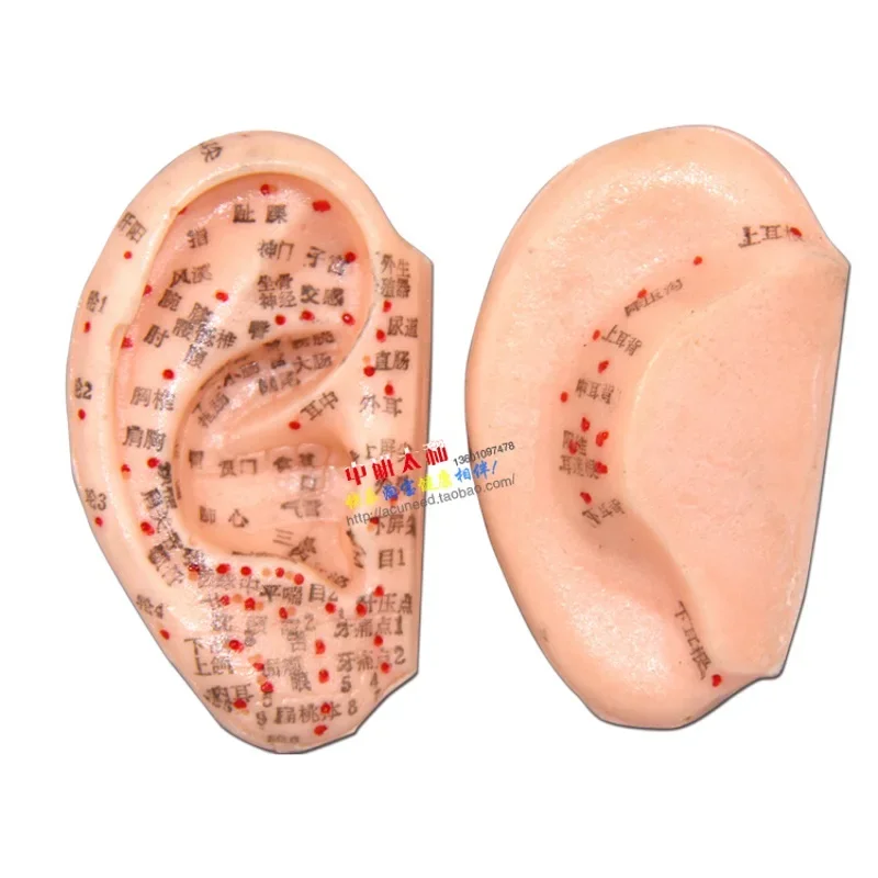 8 Cm Ear Acupuncture Model Auricular Application Ear Acupuncture Points Model Ear Acupuncture Earpins