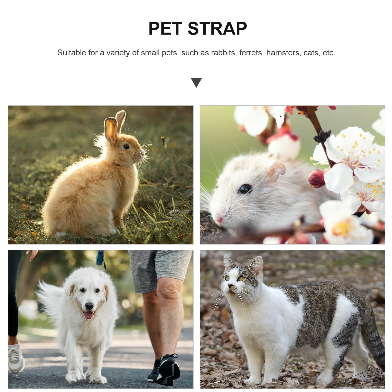 

Pet Harness Adjustable Comfortable Harnesses Dog Back Leash Cute Costume Cat Small Girl Dogs Kitten Accessory Dog's Clothes