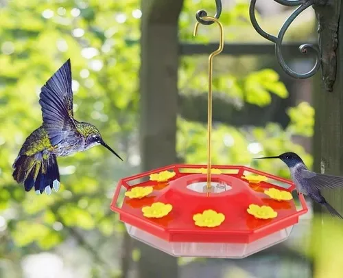 Hummingbird Drinker With Yellow Flower In Red Bottle