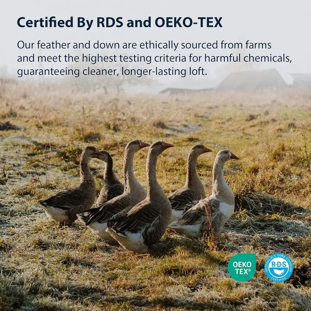 وسائد فاخرة من ريش الإوز مع غرزة ماسية، صلابة متوسطة، حجم قياسي - عبوتان