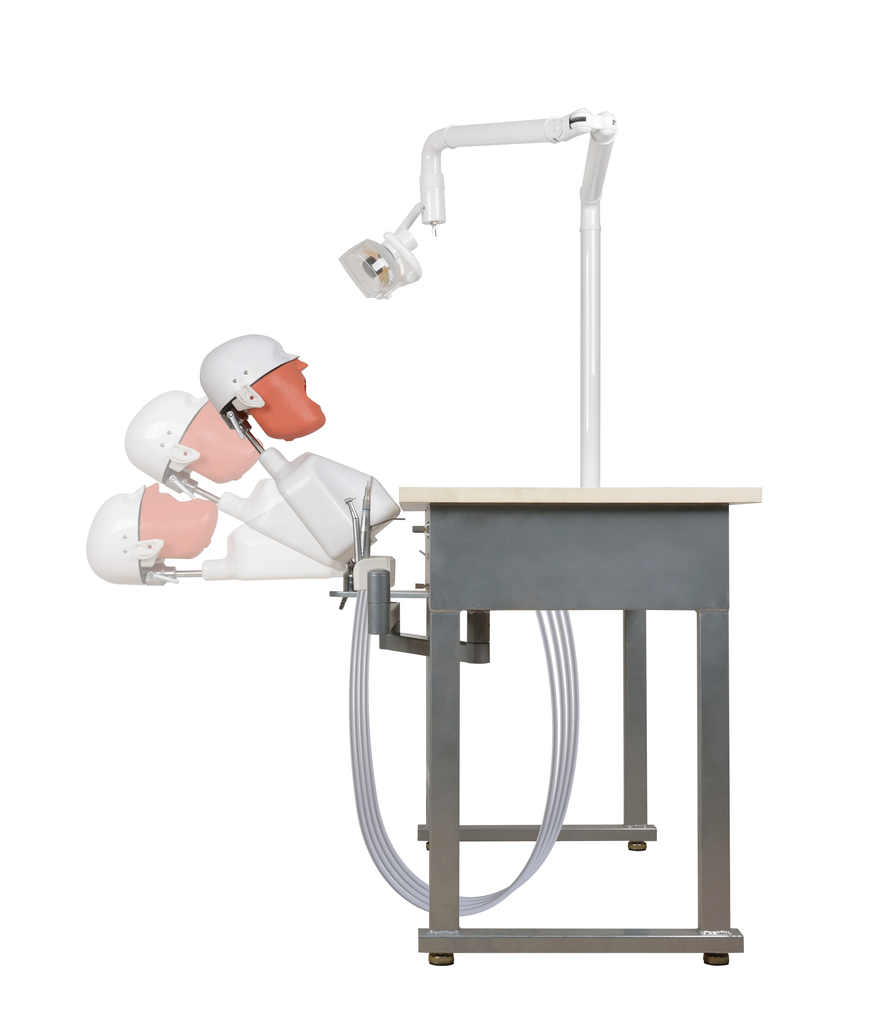 den tal Phantom Head Simulator Manual Metal den tal Manikin for Student Training