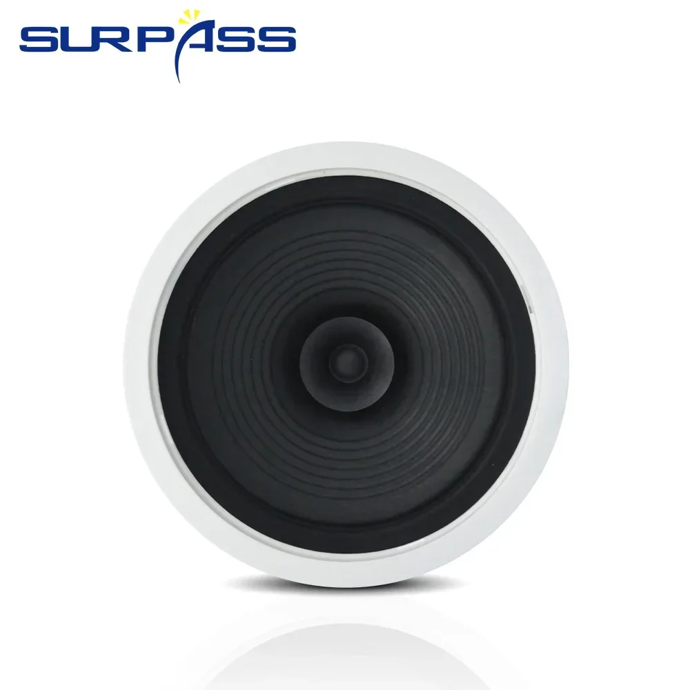 8\'\' 20W Ceiling Bluetooth Speaker Built-in Digital Class D Amplifier Roof Ceiling Wall Audio Speaker Dustproof Home Sound System