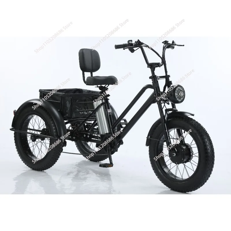 High Power Long Range 3 Wheel E Cargo Trike Adults Sand and Snow Fat Tire Electric Delivery Tricycle