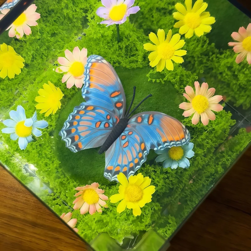 Regalo di Natale Mago di Oz Primavera Farfalla Cubo magico Luce notturna Fai da te Regalo di compleanno creativo fatto a mano per la fidanzata