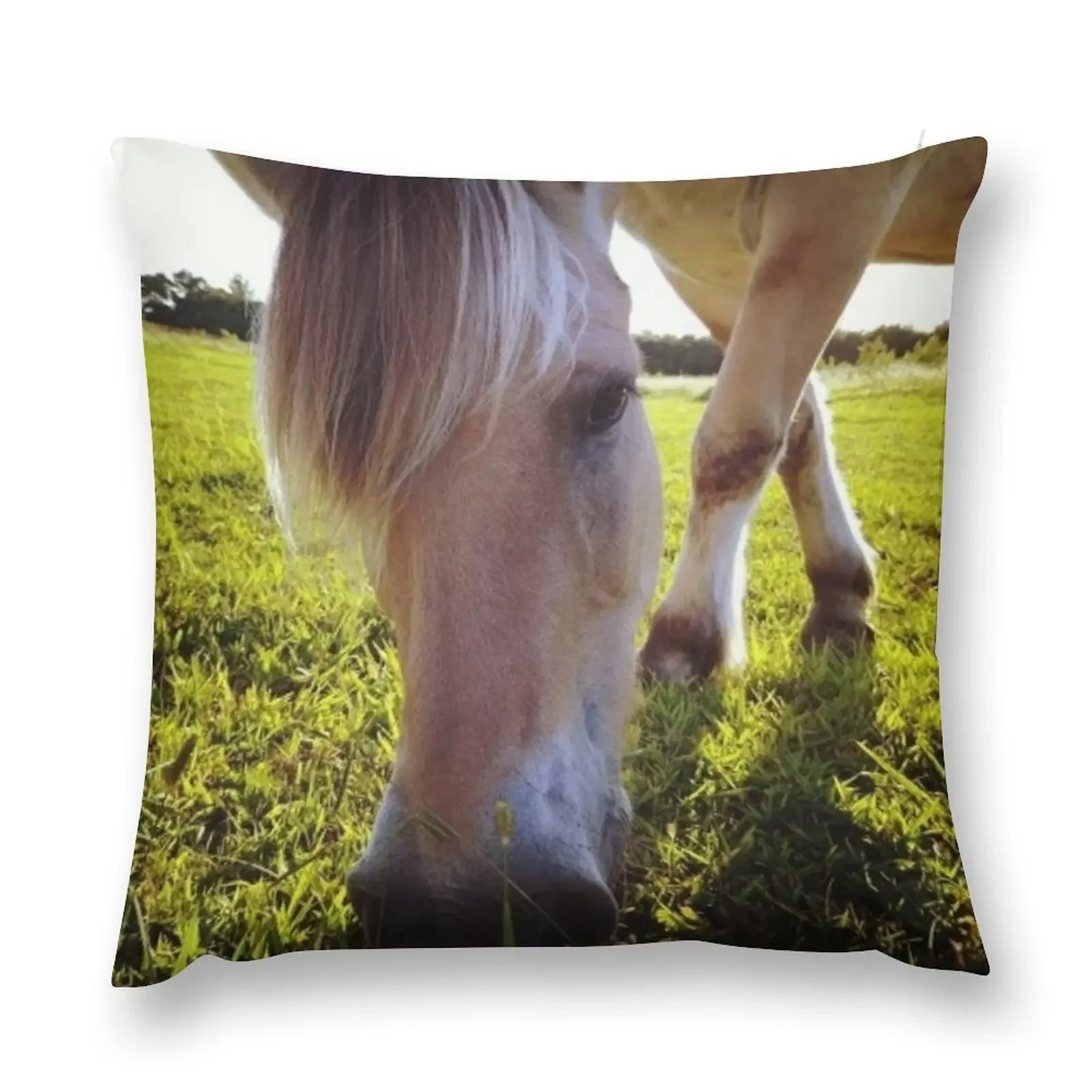 

Horse Grazing Throw Pillow Sofa Covers christmas supplies pillow