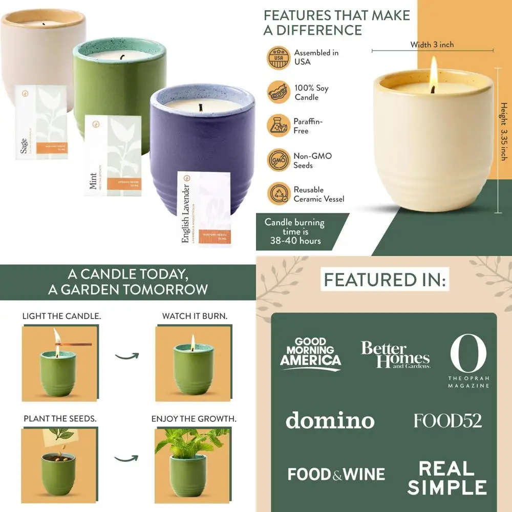 modern-sprout-garden-vibes-bougie-et-jardiniere-de-soja-2-en-1-lot-de-3-heure-violette-dans-les-mauvaises-herbes-golden-moments-scen-de-6-oz