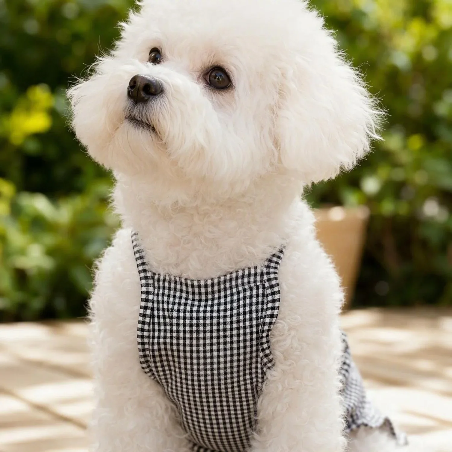 1 Stück Sommer-Haustierkleidung für kleine Hunde, niedliches gerüschtes gestreiftes Hundetanktop, atmungsaktive Welpenweste, süße Rüschen-Hundebekleidung – Detail 6