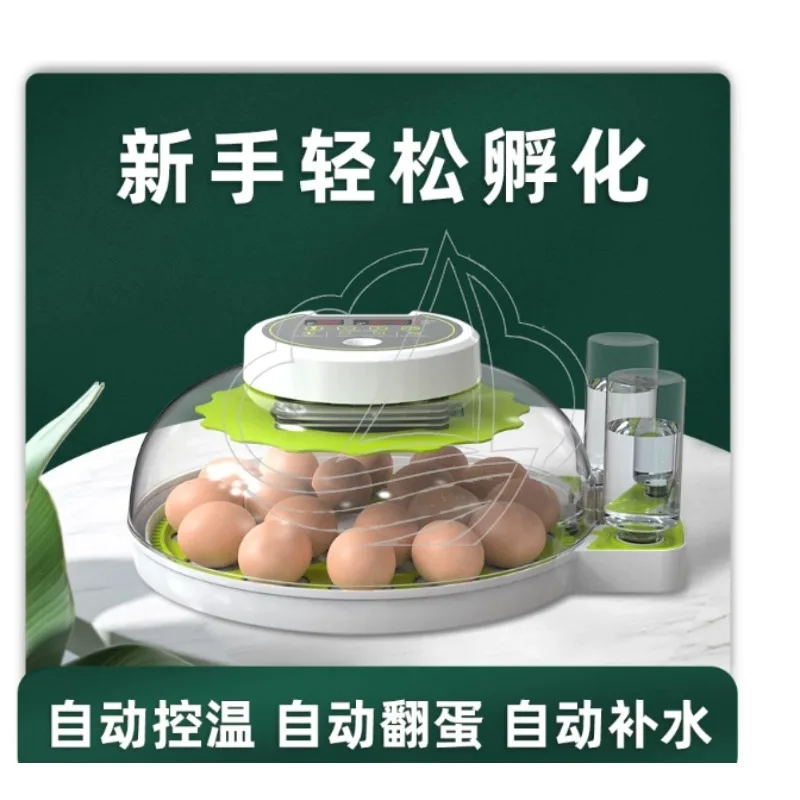 Mini Auto Egg Incubator, Constant Temp Hatcher for Poultry Parrot Pigeon