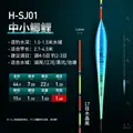 H SJ01