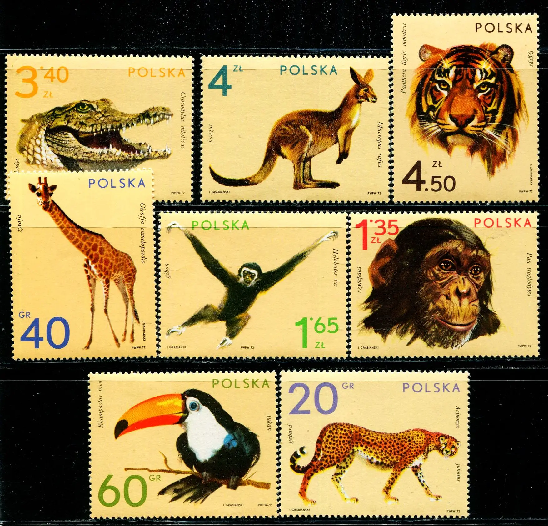Ganz neuer polnischer Stempel, Jahr 1972, Zootier, Hornbill, Giraffe, Tiger, komplettes Set, 8 Briefmarken zum Sammeln, Material für Scrapbooking – Detail 1