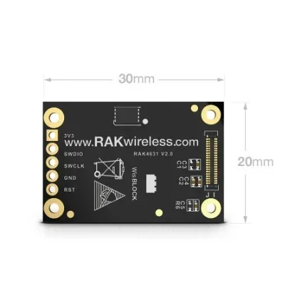 Nordic nRF52840 BLE Core Module for LoRaWAN with LoRa SX1262 | RAK4631 / RAK4631-R| RAKwireless