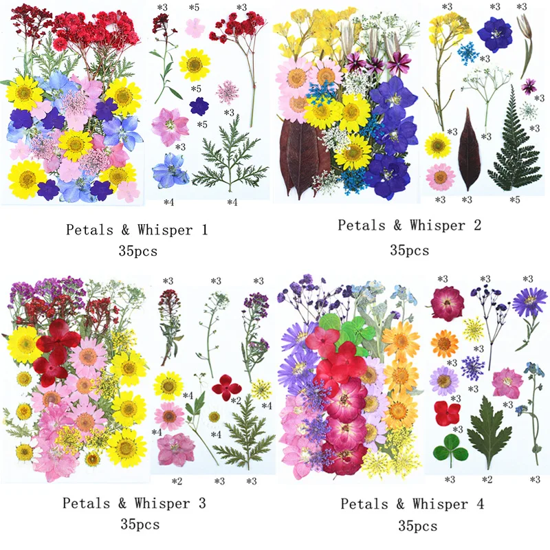 

Pressed Flower Stickers, Dried Flower Material Kit, DIY Pressed Flower Specimens, Pressed Flower Frame Stickers, Mixed Pack
