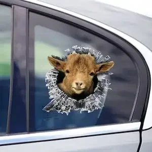 Pygmy Goat window decal, Pygmy Goat car sticker, goat car decal