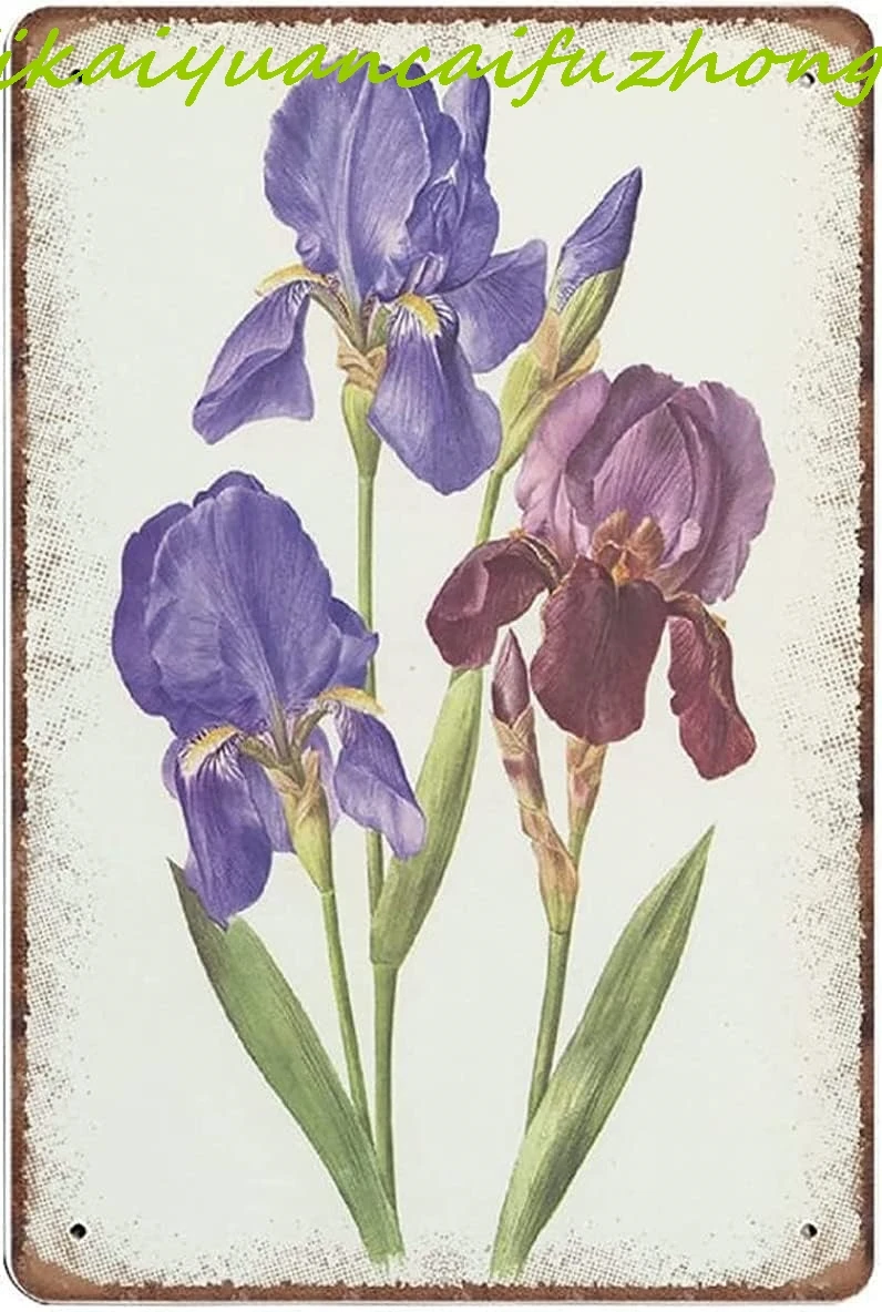 Sunflower Gnome Ant… - image