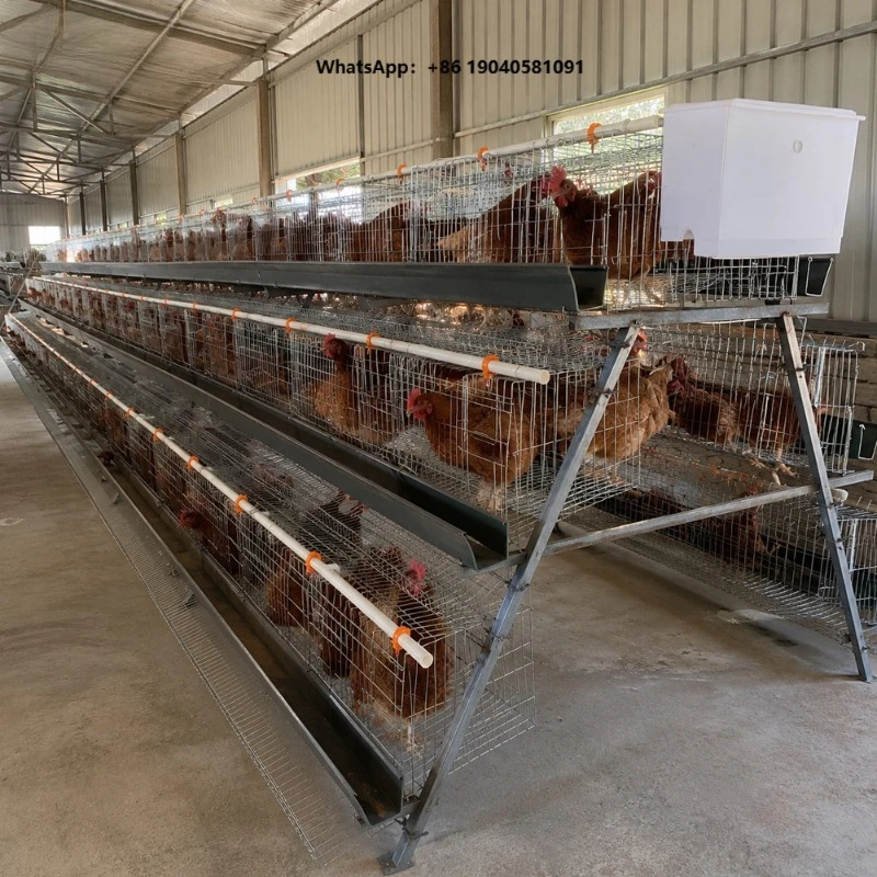 New Automatic A-Type Poultry Layer Chicken Cage with Anti-rust Hot Dip Galvanized Steel and Plastic for Commercial Farm Use