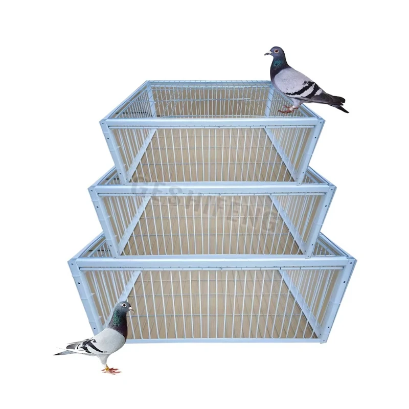 

All kinds of bird breeding bird cages, bird traps, flexible doors can only enter and exit