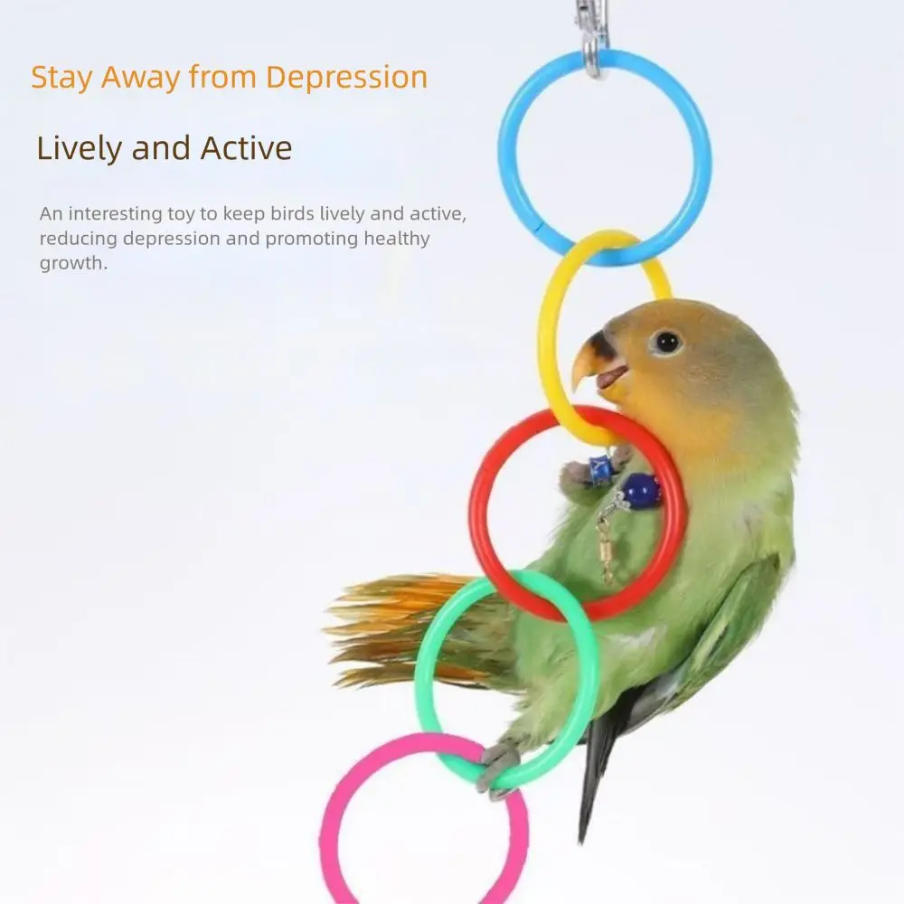 Creative Plastic Bird Swing With Bell Relieve Boredom Bird Hanging Ring Colorful Parrot Climbing Ring Birdcage Accessories