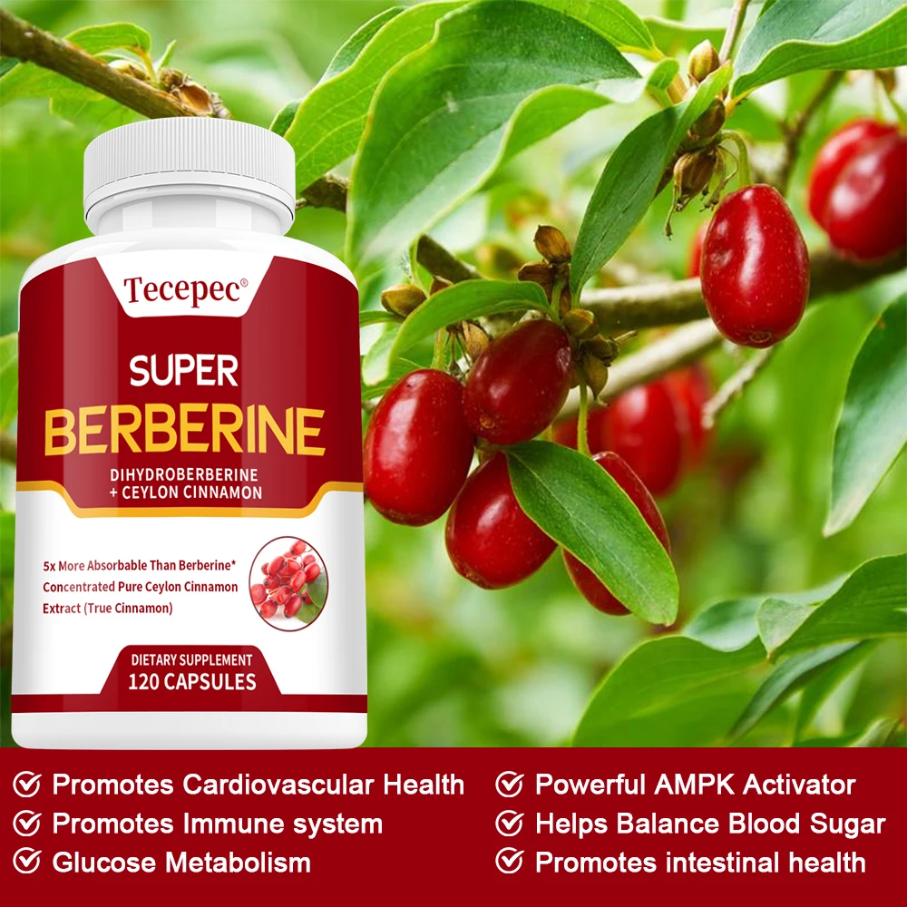 Dihydroberberine + Ceylon Cinnamon, Healthy Immune System, Glucose Metabolism, Heart Support, Gut Health, Dietary Supplement