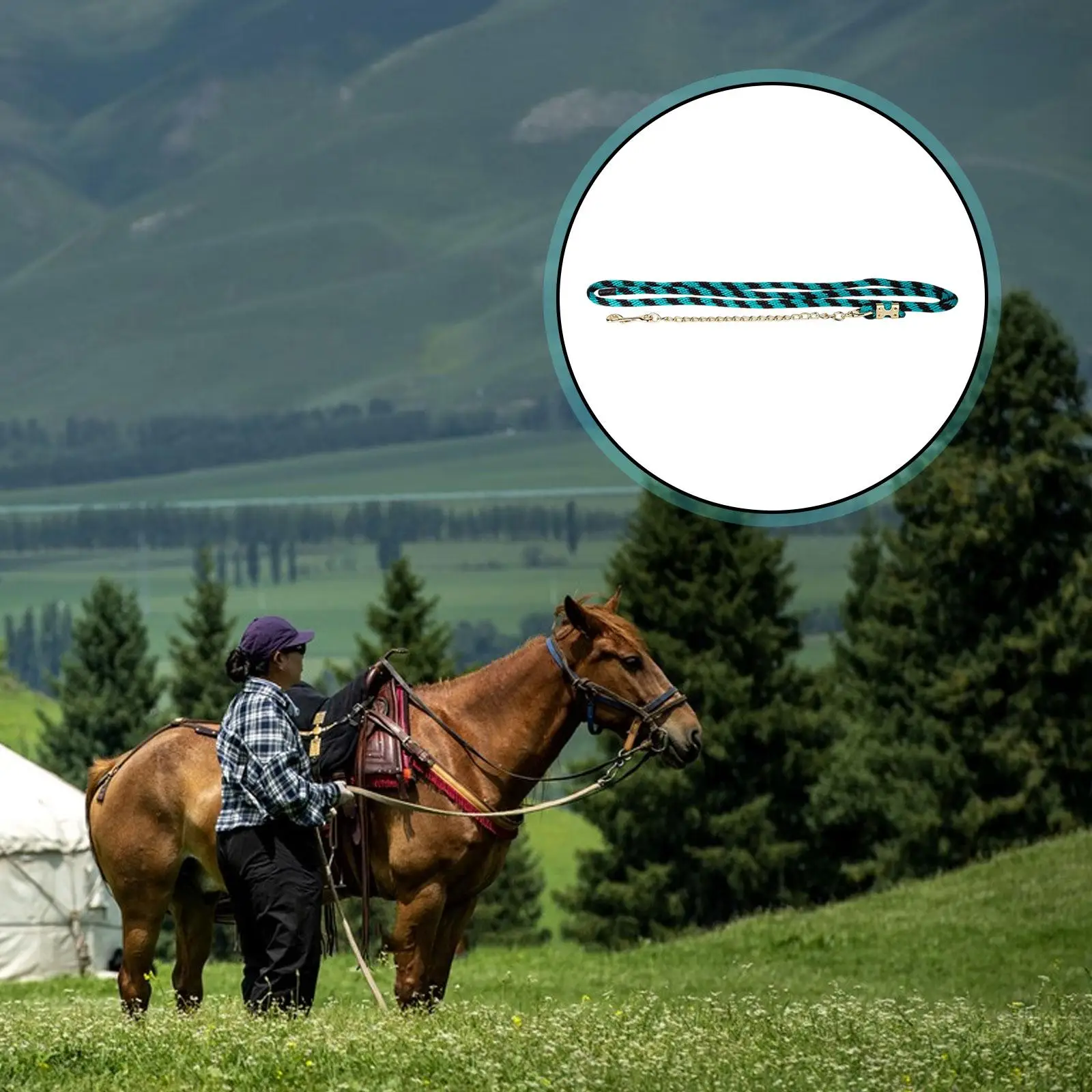 horse-lead-rope-horse-tack-equestrian-supplies-with-long-iron-chain-for-trail-riding-daily-use-performance-training