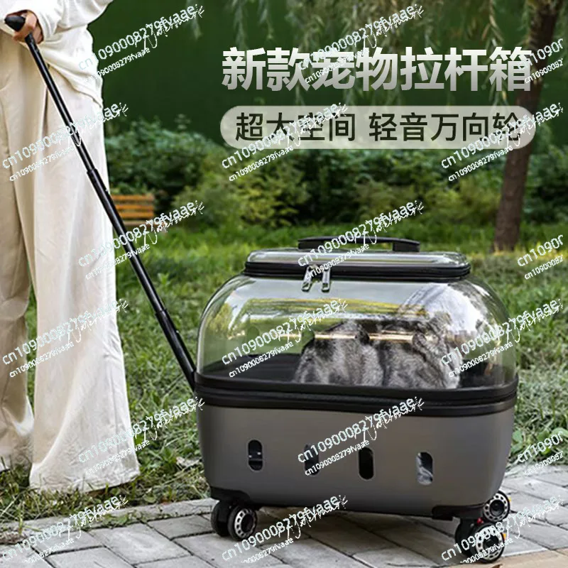 

Cross-Border Air Shipping Container Wholesale Consignment New Release Solid Backpack Transparent Pet Trolley Case