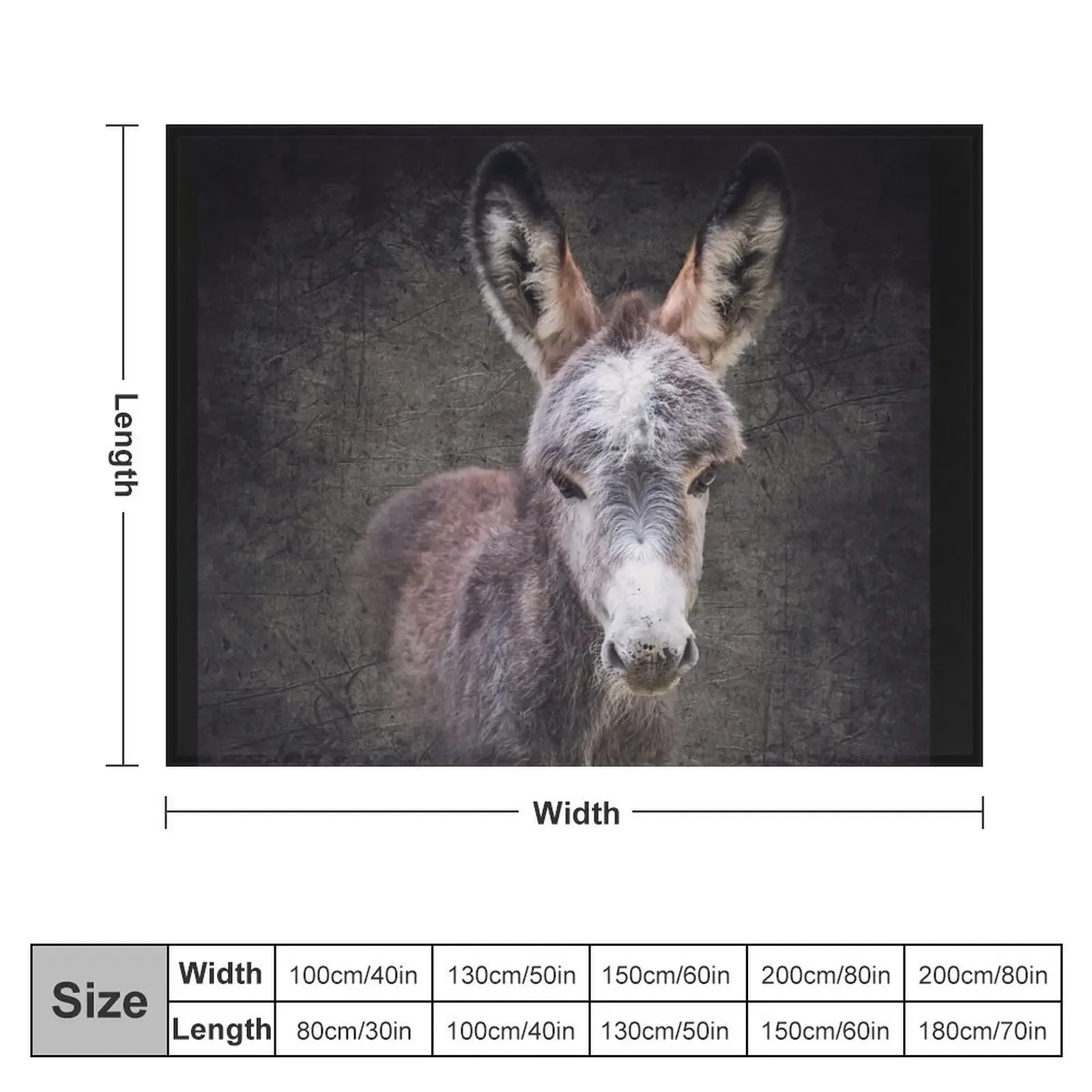 Donkey foal Mattheo Throw Blanket Baby warm for winter Luxury Thicken Flannels Blankets