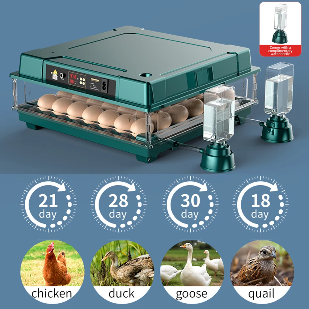 12-30 Eggs Incubators, Egg Incubator with Automatic Egg Turning, Add water bottle and Hatching days display for Quail Egg