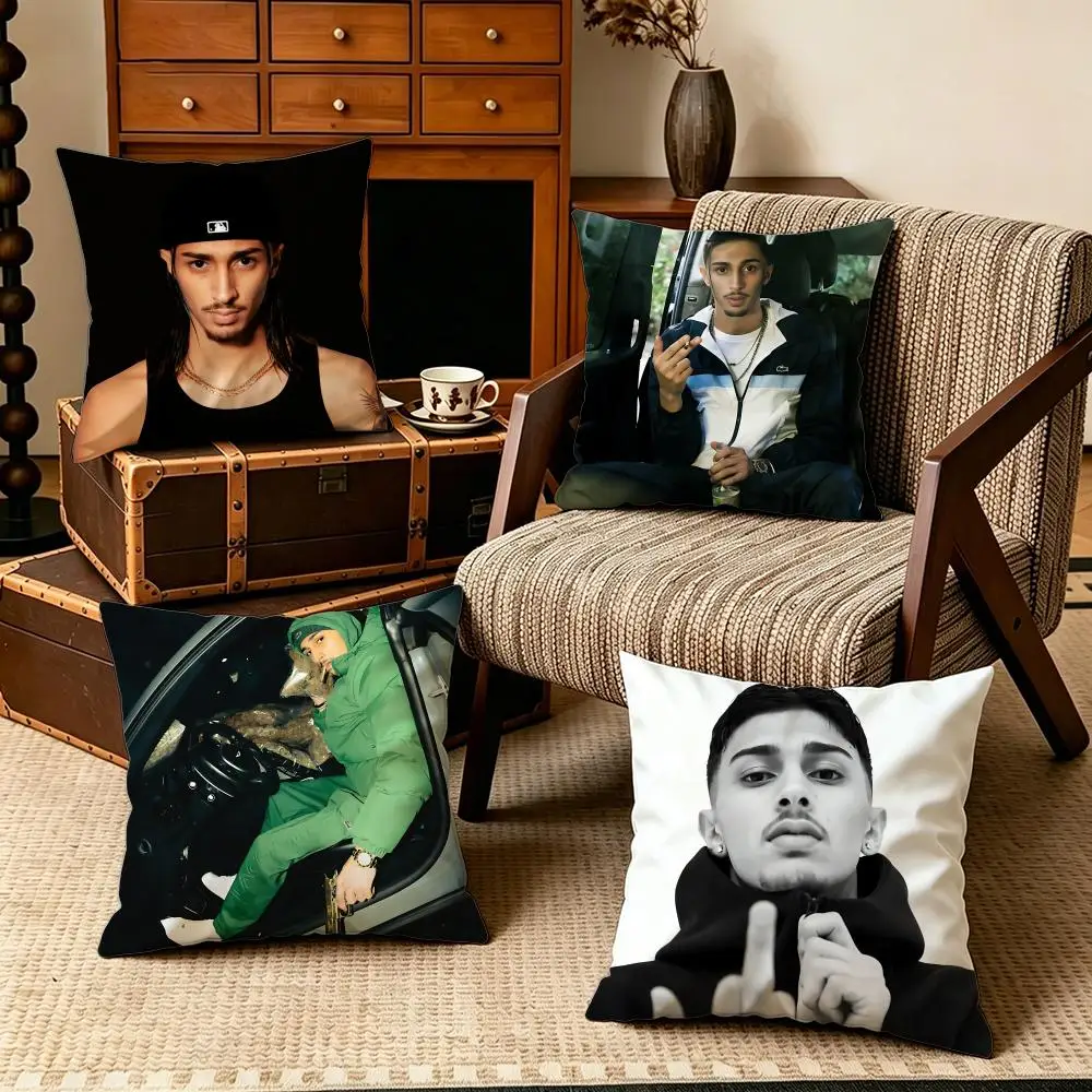 Celebrity-Baby GangS Cushion Cover Soft Velvet Cushion Cover Set 4Pcs 50x50 45x45 Zipper Pillowcase for Home Decor