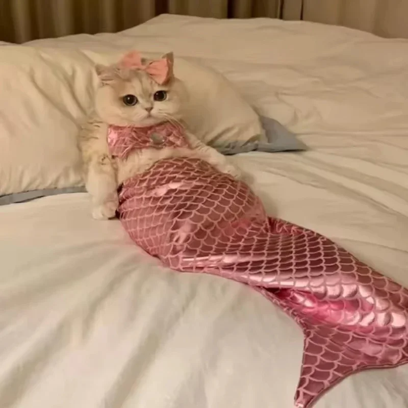 Cat Mermaid Costume Small Pet Mermaid Waterproof Costume Pet Cosplay Mermaid Costume Creative Cat Fishtail Dress