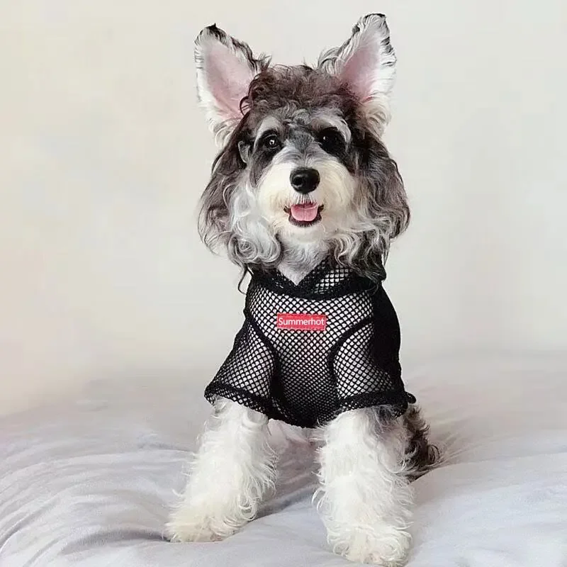 

SHISHI-Summer Hot All Season Mesh Dog Hoodie Breathable Lightweight Pet Pullover Sweater For Small Medium Dog Clothing Chihuahua