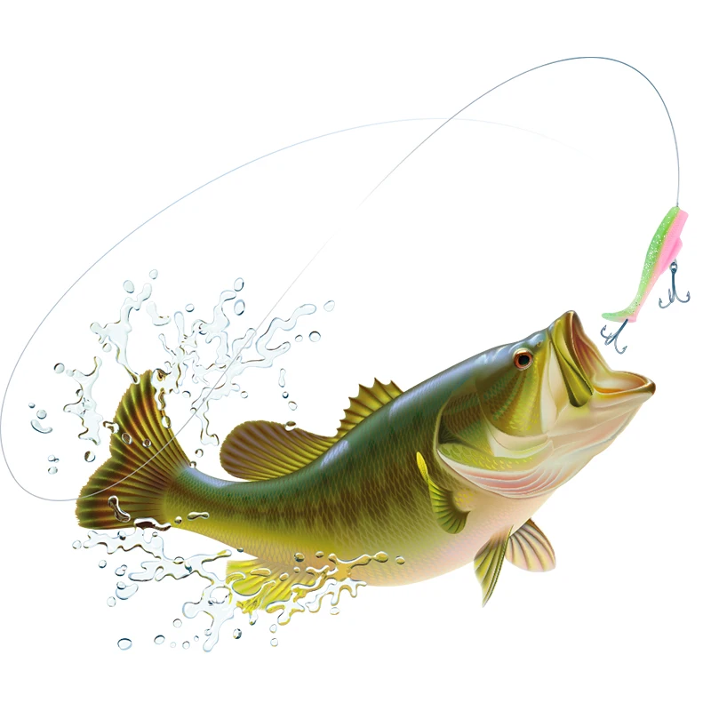 6 Stück/Beutel Weicher Angelköder 8cm/5g Plastik-Swimbait Schwanz-Weichköder Silikon-Angelköder Künstlicher Köder für Forelle und Barsch – Detail 6