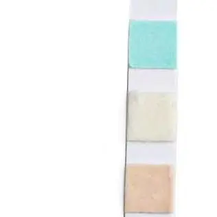 100pcs Pet Urine Strips 10 Parameter UTI Glucose Ketones Detection Kit For Dog Cat Veterinary Health Analysis Tool