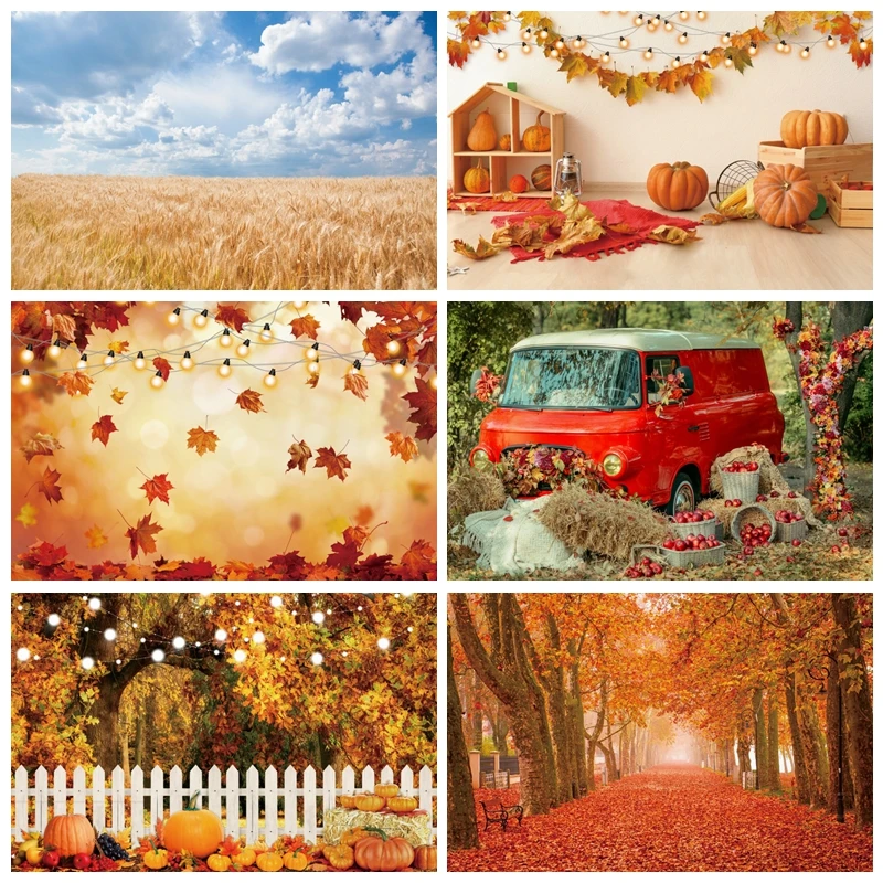 Yeele Fall Sunshine Wheat Field Baby Shower Backdrop Autumn Farm Maple Pumpkin Background Photography Photo Studio Photophone