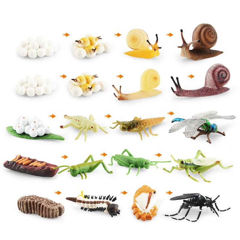 2022 Animal Growth Cycle Insect Figurines Grasshopper Snail Cock Penguin Action Figures Children Cognitive Early Toys Collection